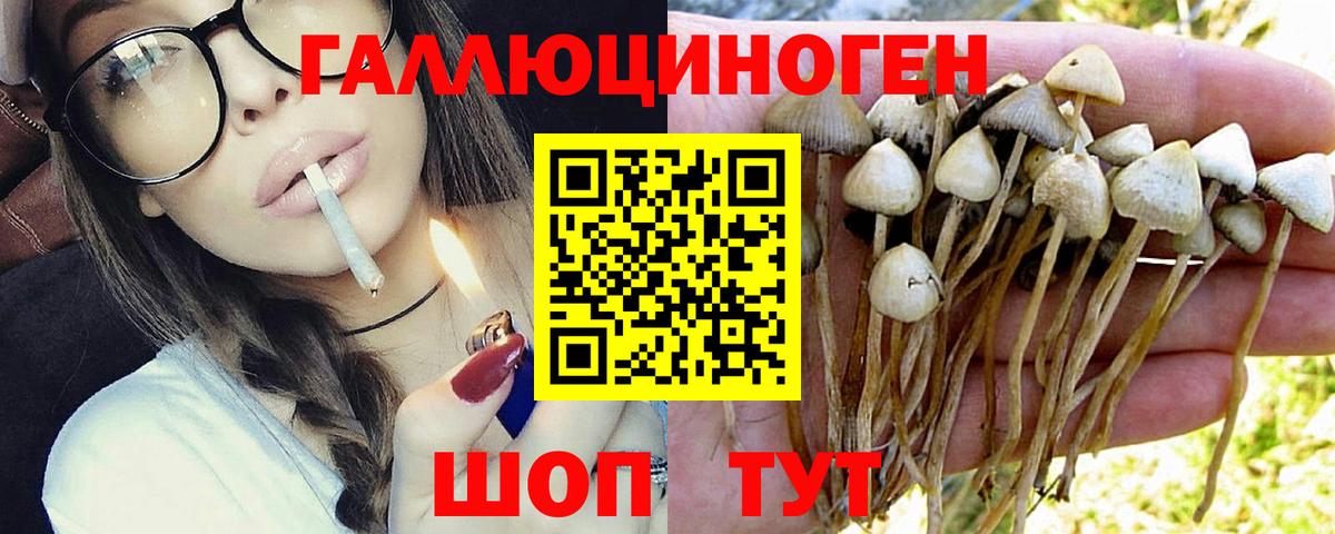 Псилоцибиновые грибы Орск